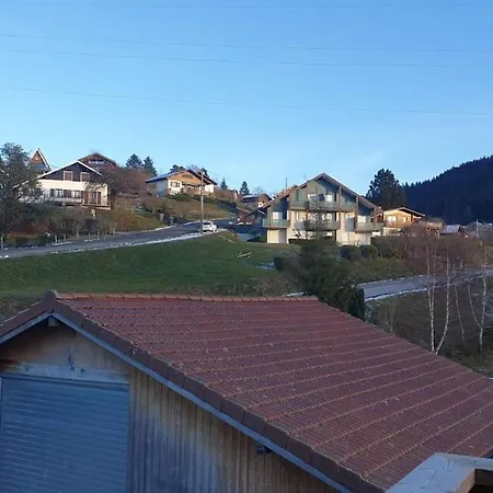 Le Martin Pecheur - Appartement Gerardmer Exterior photo