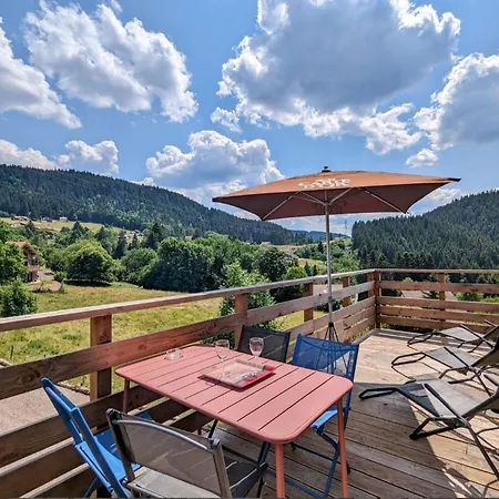 Le Martin Pecheur - Appartement Gerardmer Exterior photo