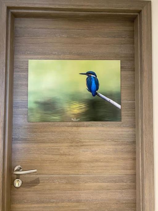 Le Martin Pecheur - Appartement *